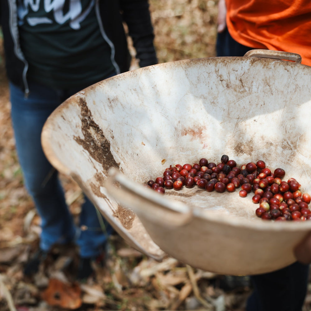Why We’re Raising Our Coffee Prices