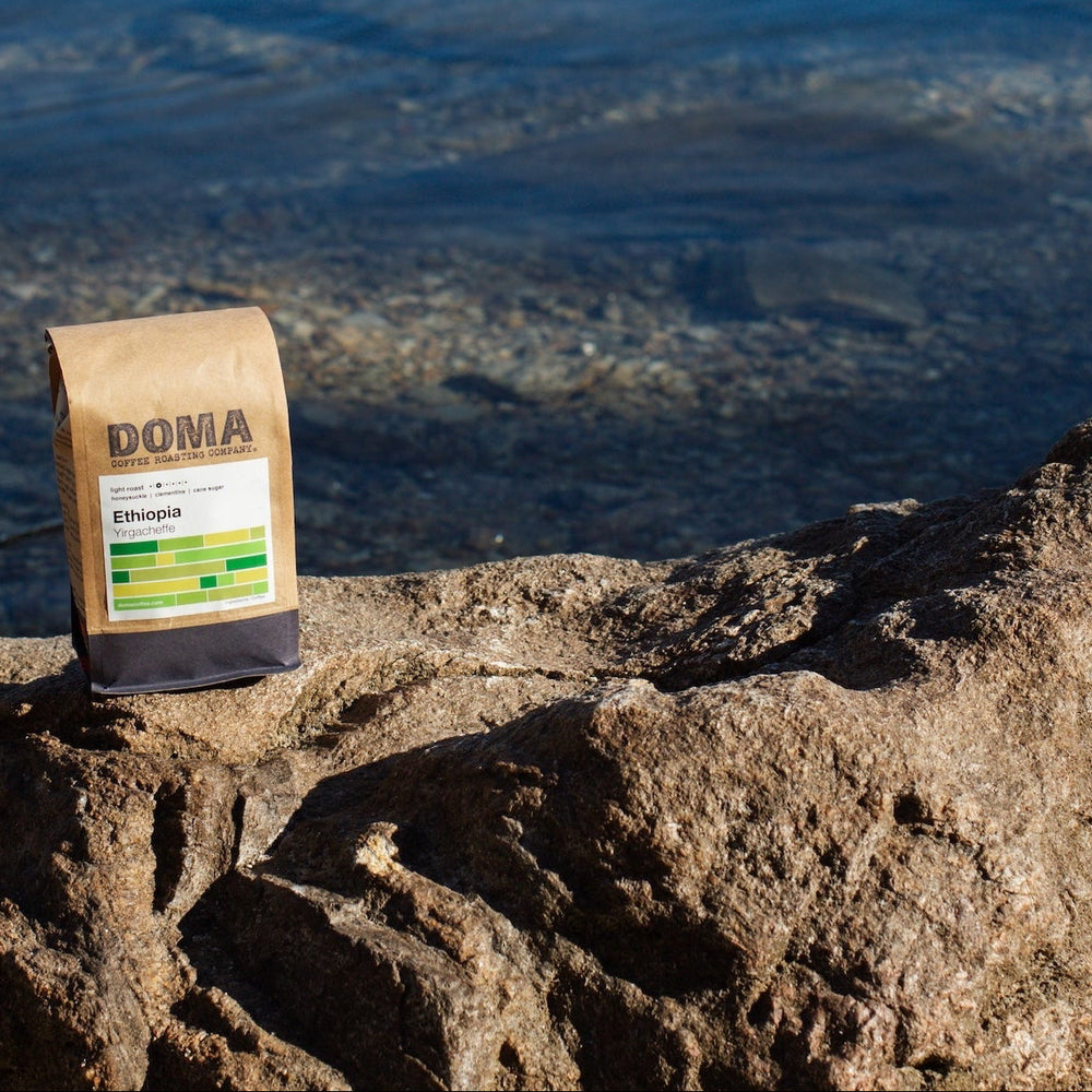 DOMA Coffee Roasting Company