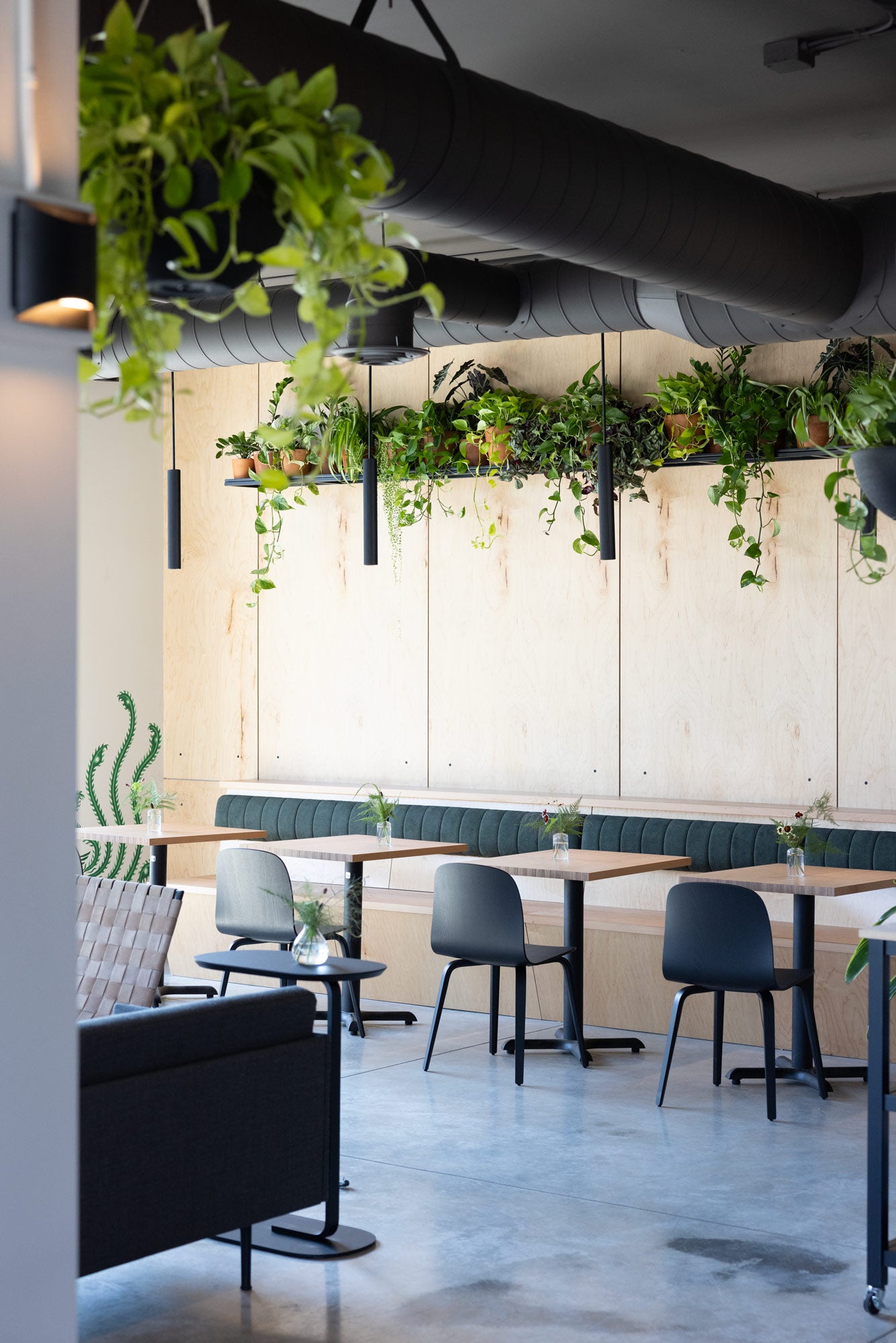 DOMA Coffee - The Café – DOMA Coffee Roasting Company