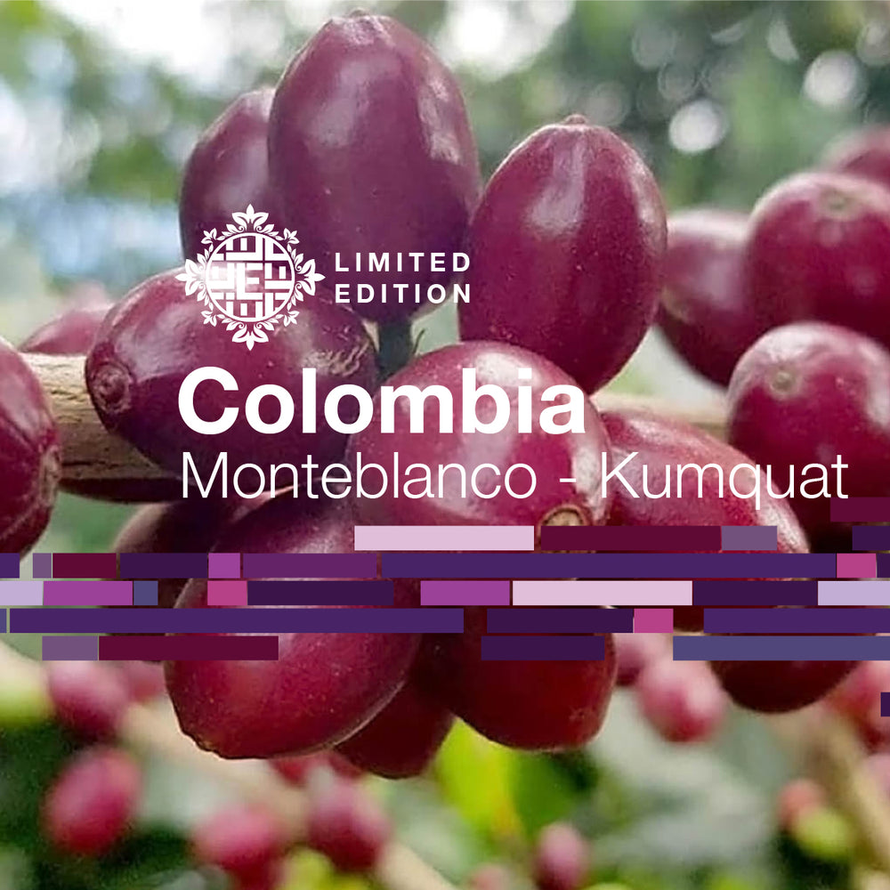 DOMA Coffee Roasting Company