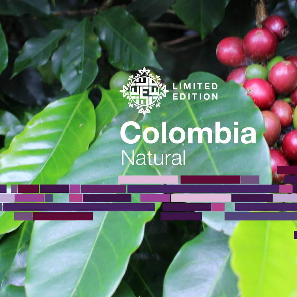 DOMA Coffee Roasting Company