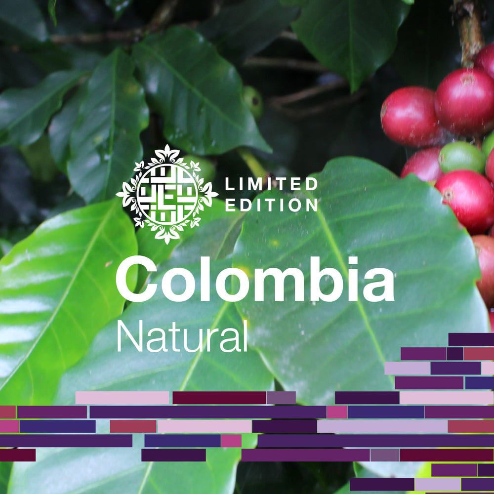 DOMA Coffee Roasting Company