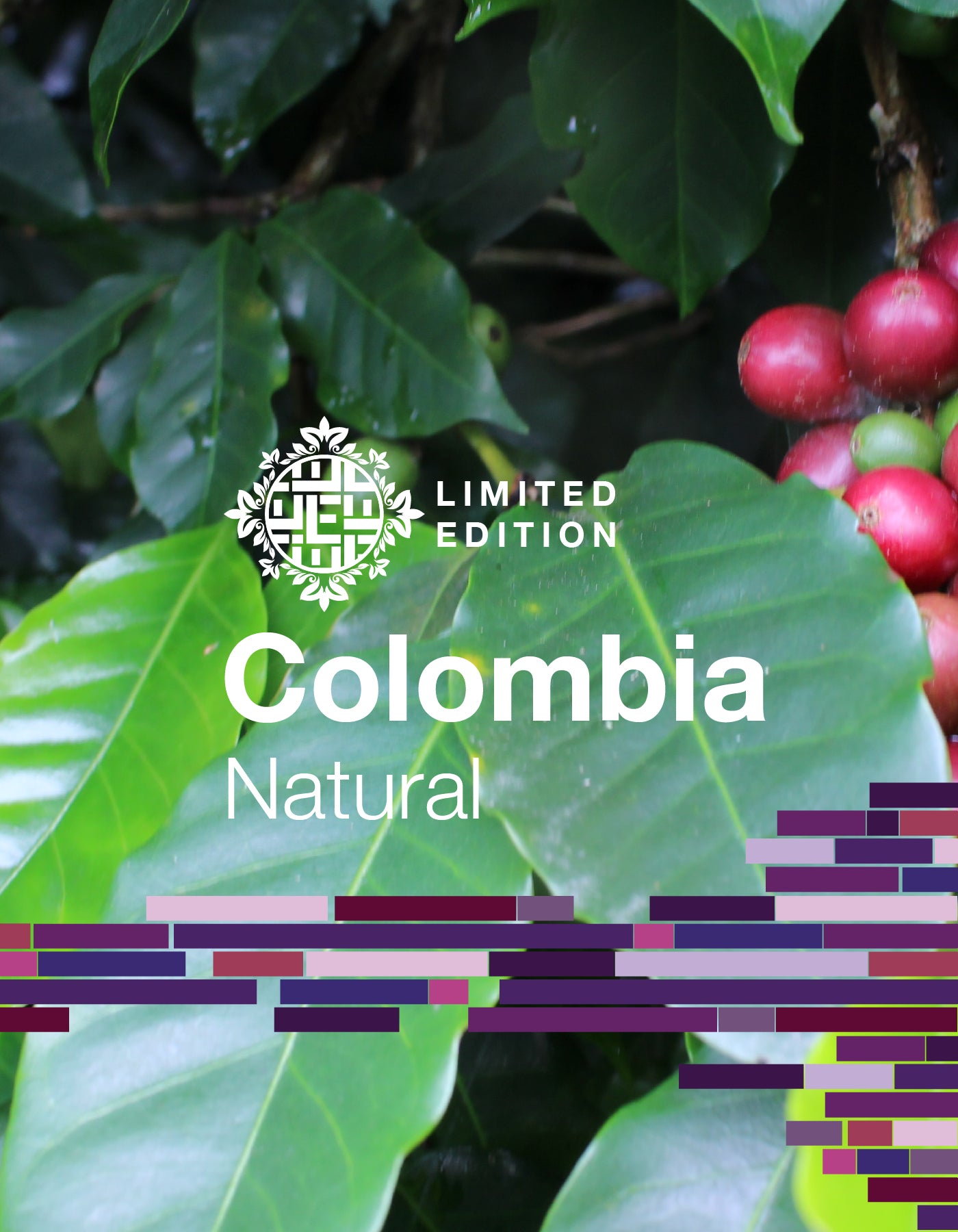DOMA Coffee Roasting Company