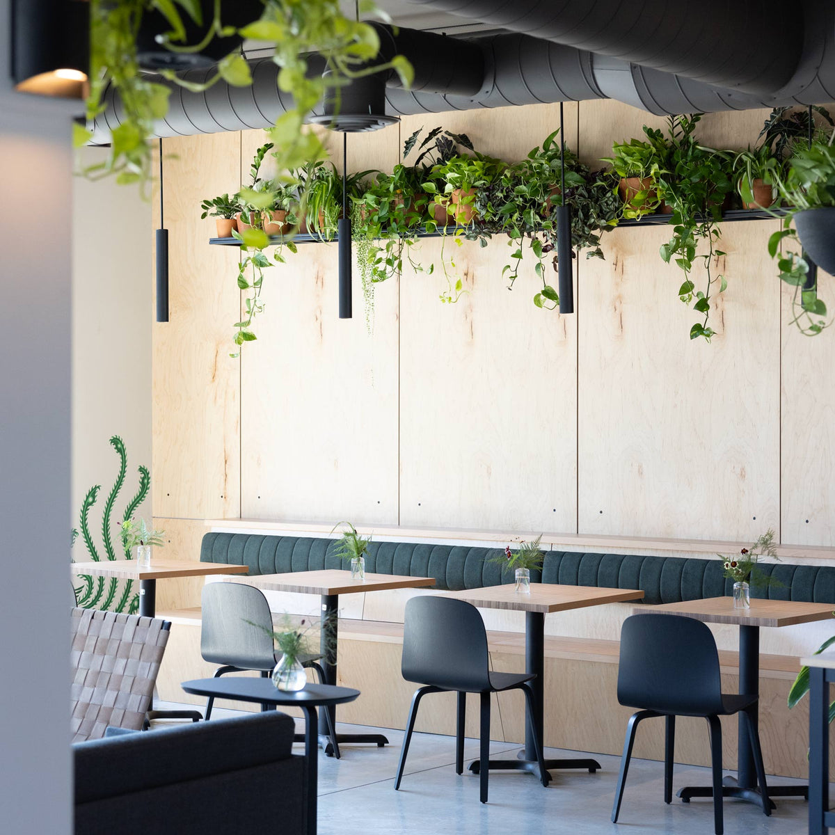 Locations – DOMA Coffee Roasting Company