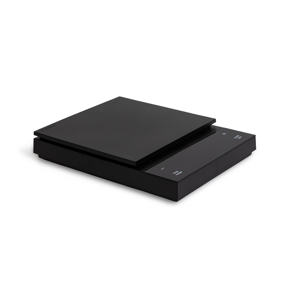 Hario Polaris scale