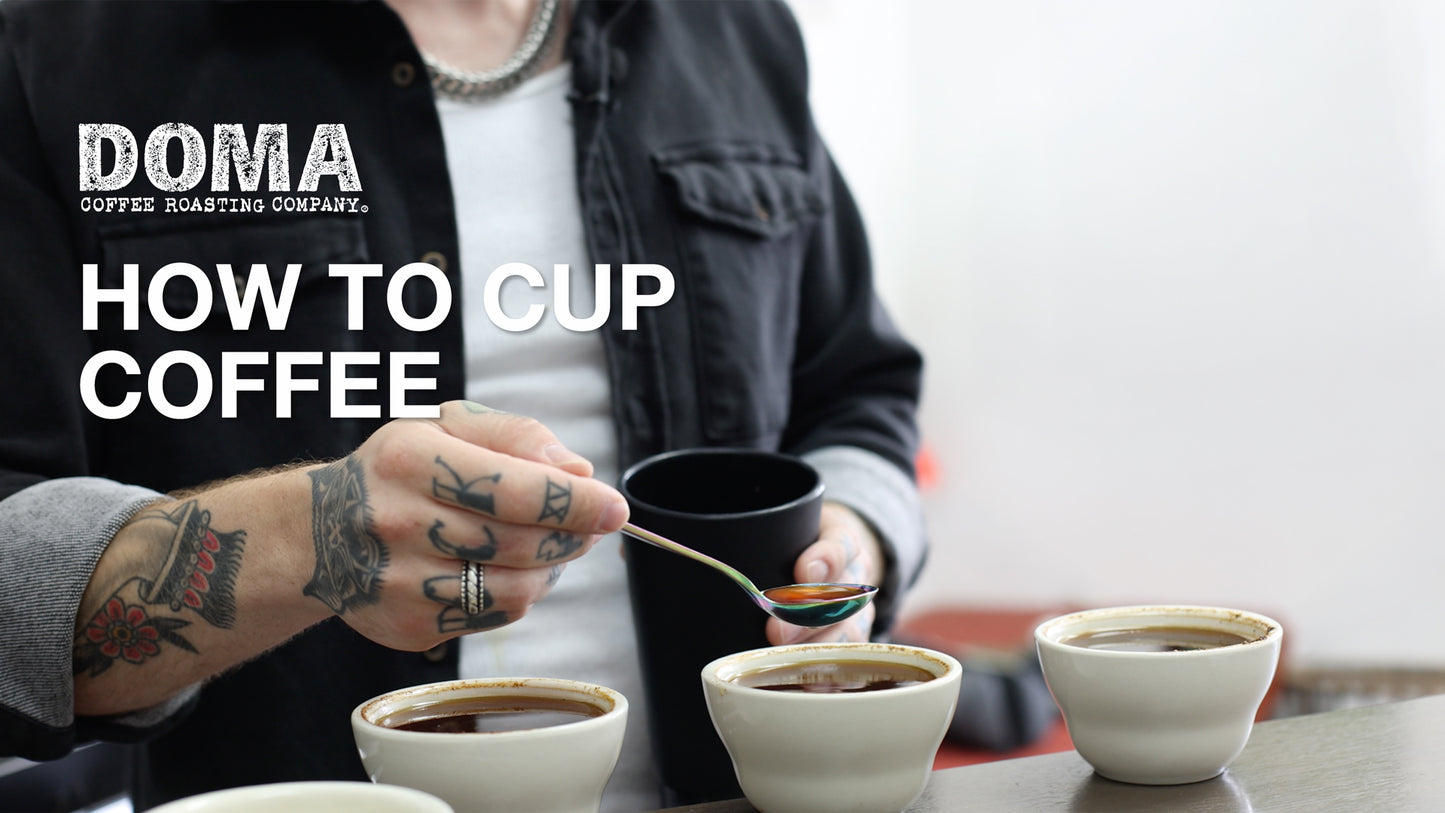 Video on how to cup coffee