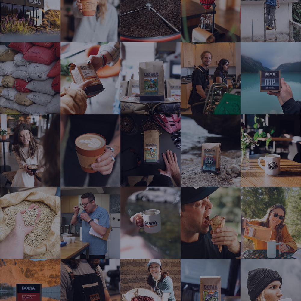 DOMA Coffee Roasting Company