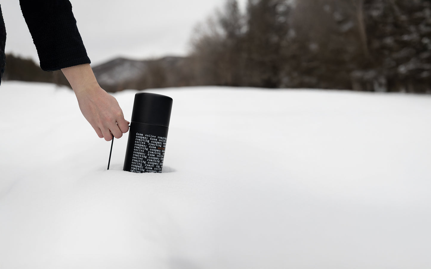 DOMA Coffee Roasting Company