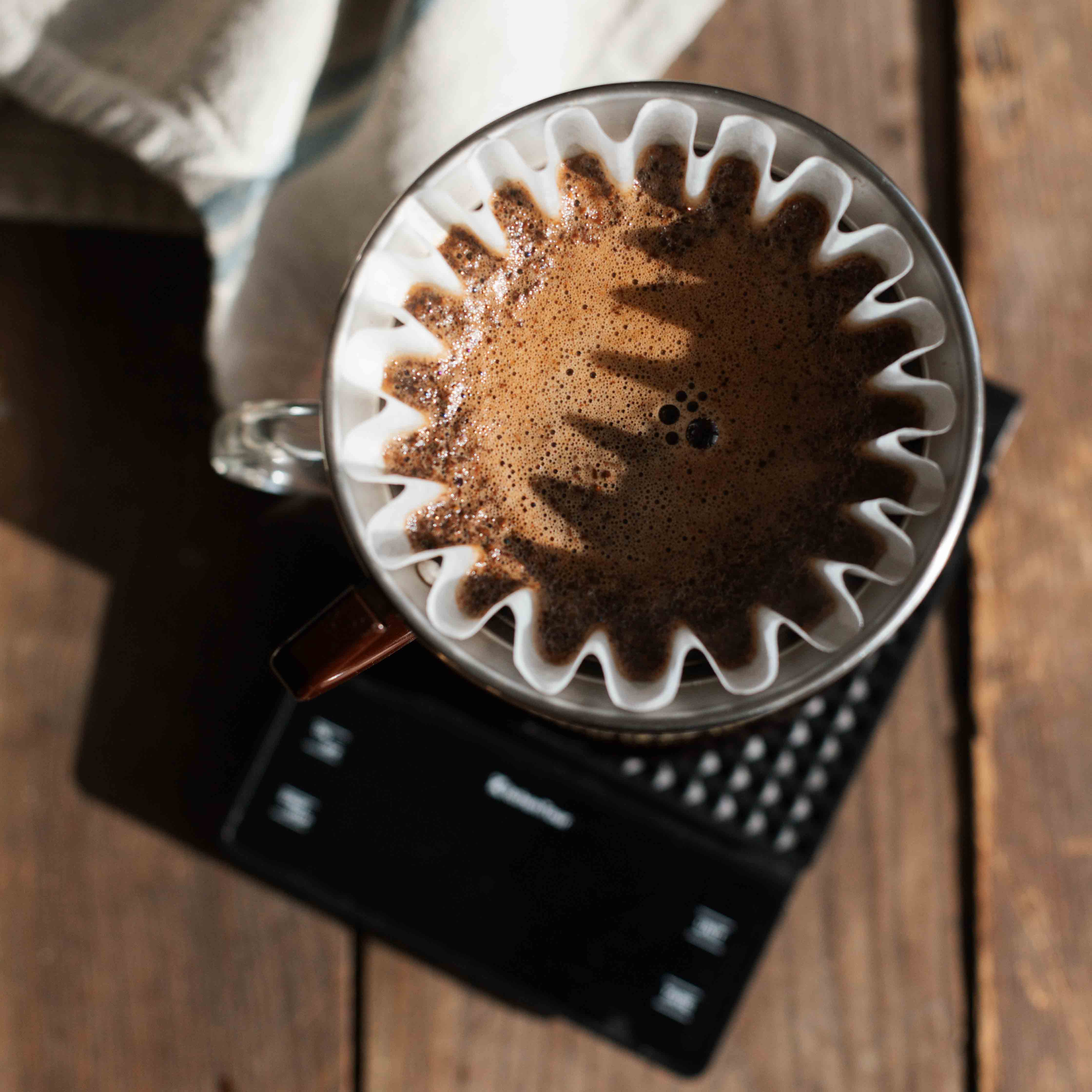 KALITA WAVE 185 FILTER – DOMA Coffee Roasting Company