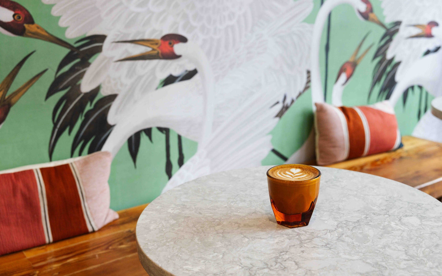 DOMA Coffee Roasting Company